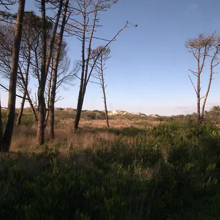 Casa Ondas - Ocean-inspired * Fão