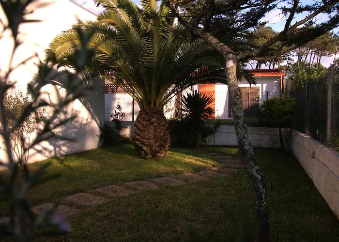 Casa Ondas - Ocean-inspired Фан