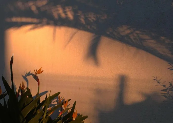 Σπίτι διακοπών Casa Ondas - Ocean-inspired *