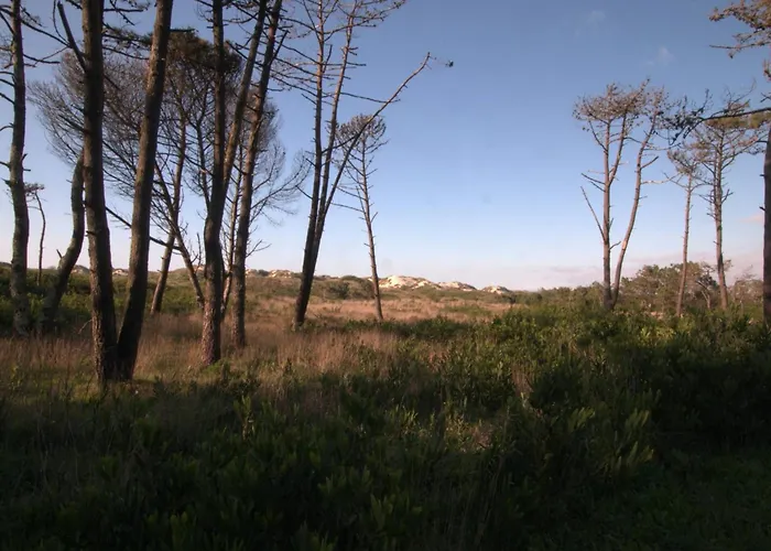 Casa Ondas - Ocean-inspired *